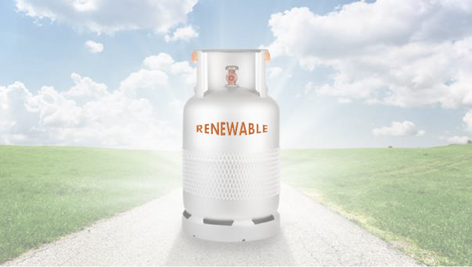 NZ renewable LPG Thumbnail potential  Issued for use signed  