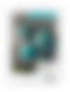bb report cover